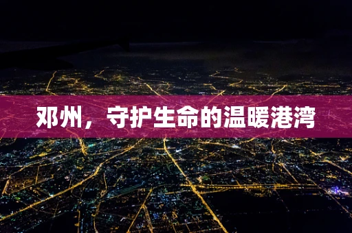 邓州，守护生命的温暖港湾