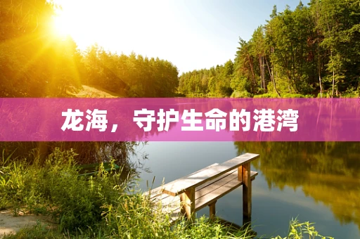 龙海，守护生命的港湾