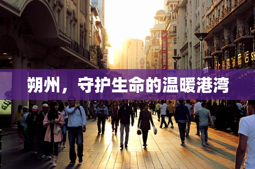 朔州，守护生命的温暖港湾