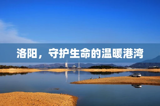 洛阳，守护生命的温暖港湾