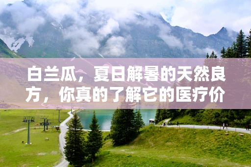 白兰瓜，夏日解暑的天然良方，你真的了解它的医疗价值吗？
