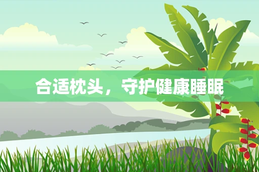 合适枕头，守护健康睡眠