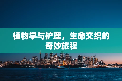 植物学与护理，生命交织的奇妙旅程