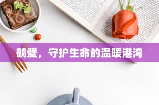 鹤壁，守护生命的温暖港湾
