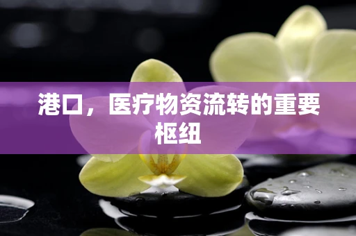 港口，医疗物资流转的重要枢纽
