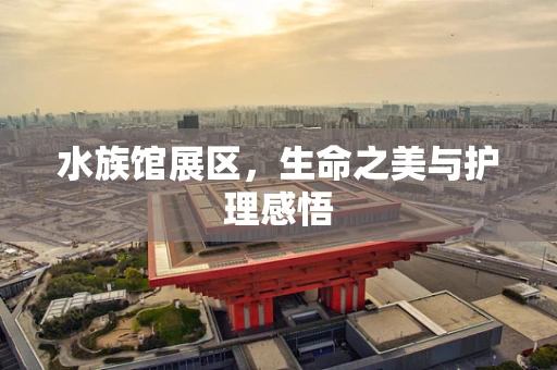 水族馆展区，生命之美与护理感悟