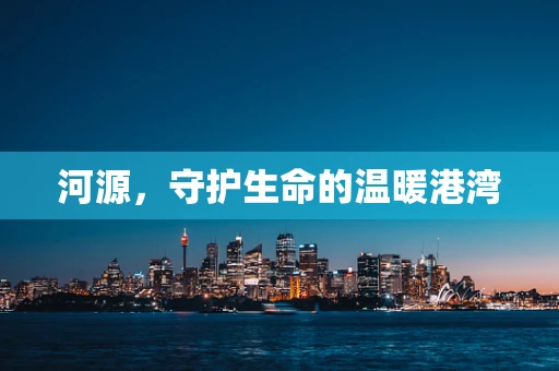 河源，守护生命的温暖港湾