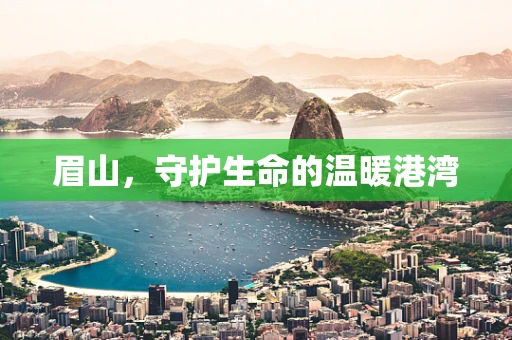 眉山，守护生命的温暖港湾