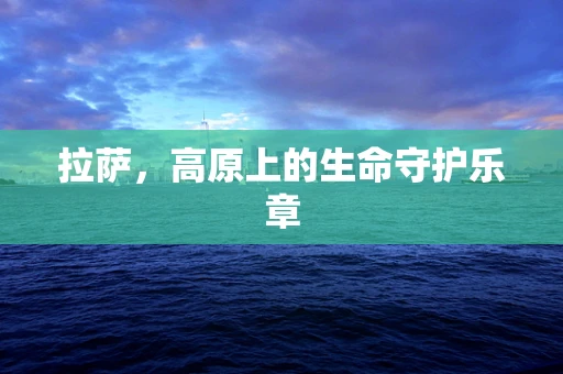拉萨，高原上的生命守护乐章