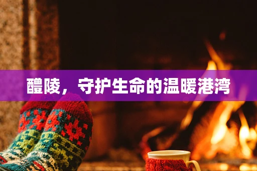 醴陵，守护生命的温暖港湾