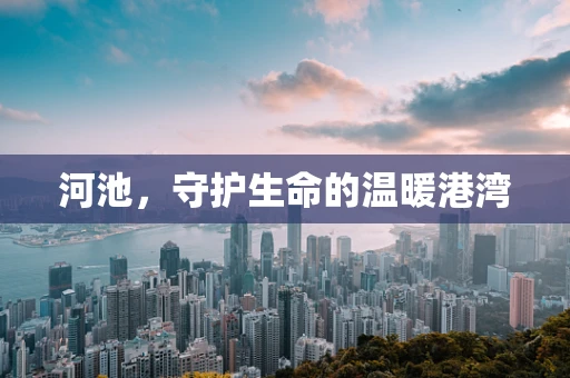 河池，守护生命的温暖港湾