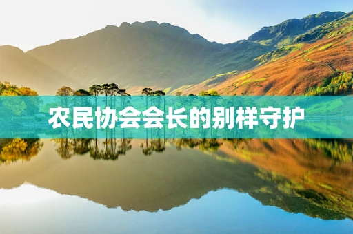农民协会会长的别样守护