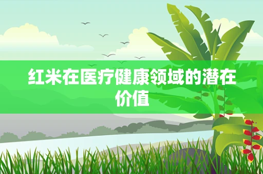 红米在医疗健康领域的潜在价值
