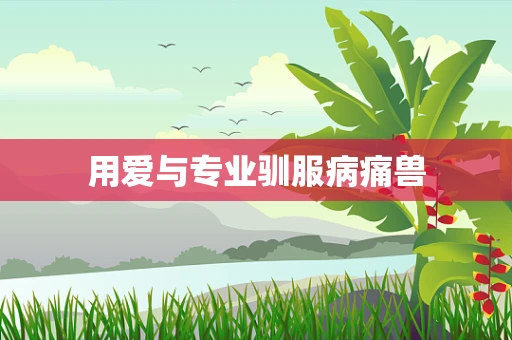 用爱与专业驯服病痛兽
