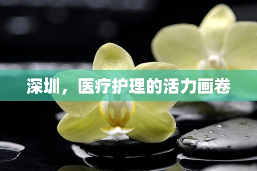 深圳，医疗护理的活力画卷