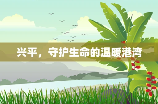 兴平，守护生命的温暖港湾