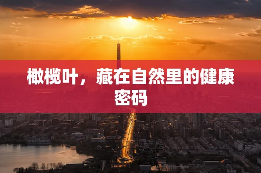橄榄叶，藏在自然里的健康密码