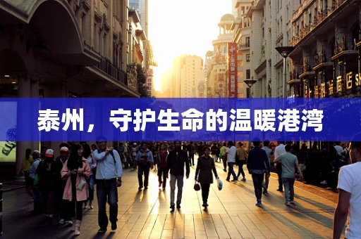泰州，守护生命的温暖港湾