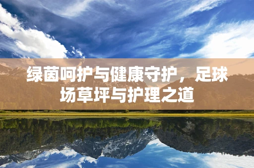 绿茵呵护与健康守护，足球场草坪与护理之道