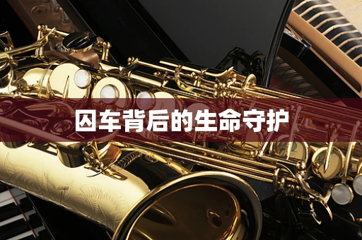 囚车背后的生命守护