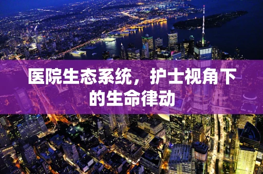 医院生态系统，护士视角下的生命律动