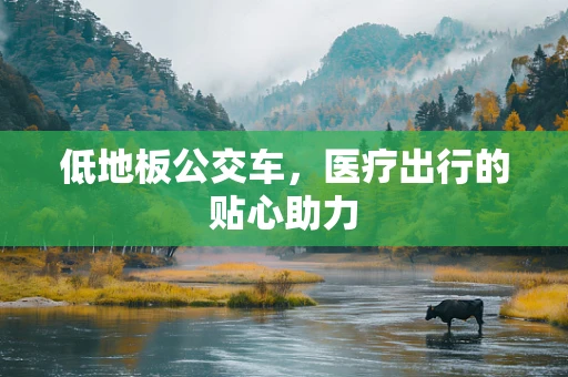 低地板公交车，医疗出行的贴心助力