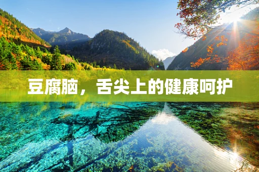 豆腐脑，舌尖上的健康呵护