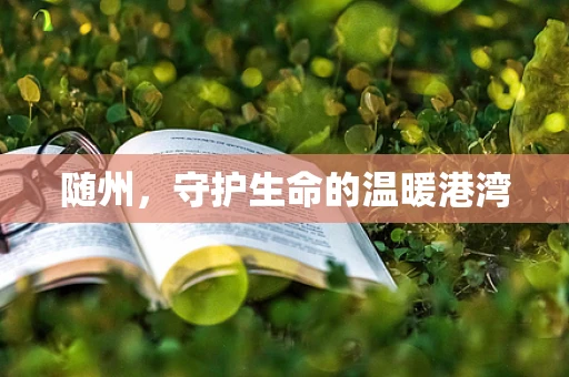 随州，守护生命的温暖港湾