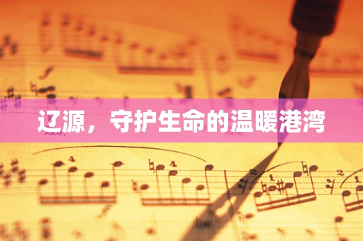 辽源，守护生命的温暖港湾