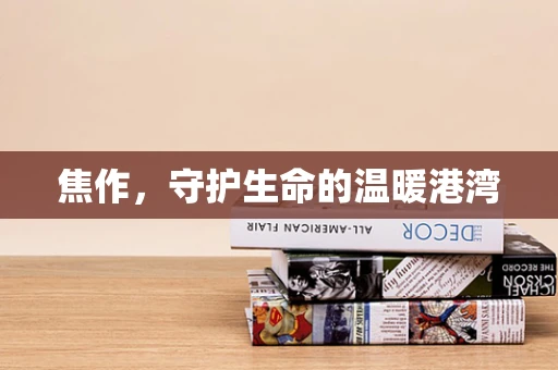 焦作，守护生命的温暖港湾