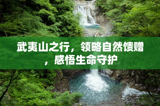 武夷山之行，领略自然馈赠，感悟生命守护