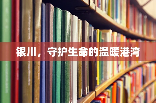 银川，守护生命的温暖港湾
