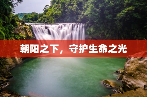 朝阳之下，守护生命之光
