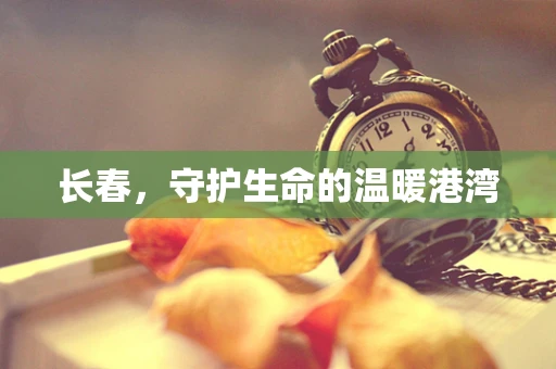 长春，守护生命的温暖港湾