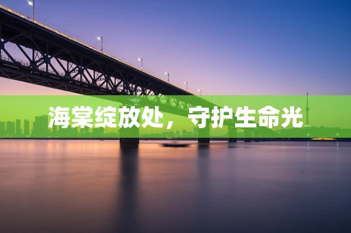 海棠绽放处，守护生命光
