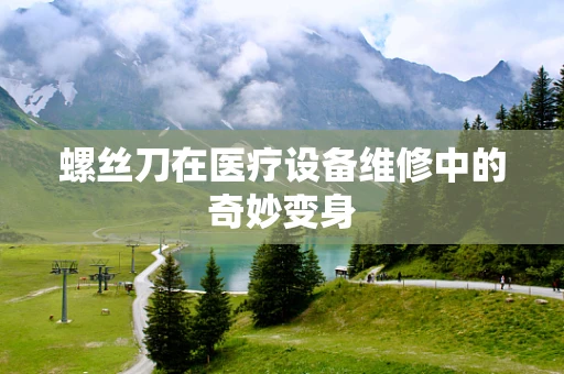 螺丝刀在医疗设备维修中的奇妙变身