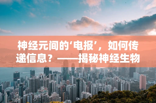 神经元间的‘电报’，如何传递信息？——揭秘神经生物学中的神经元通讯
