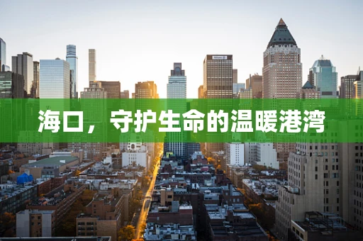 海口，守护生命的温暖港湾