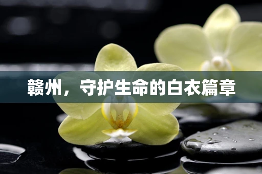 赣州，守护生命的白衣篇章