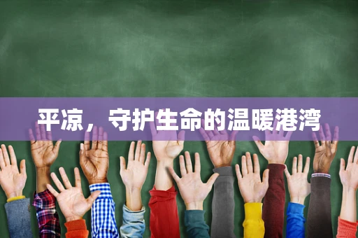 平凉，守护生命的温暖港湾