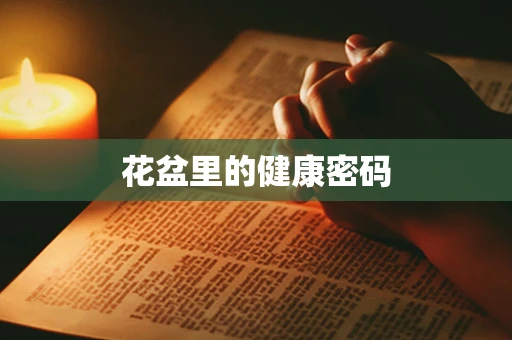 花盆里的健康密码