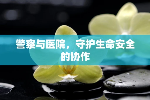 警察与医院，守护生命安全的协作