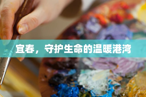宜春，守护生命的温暖港湾