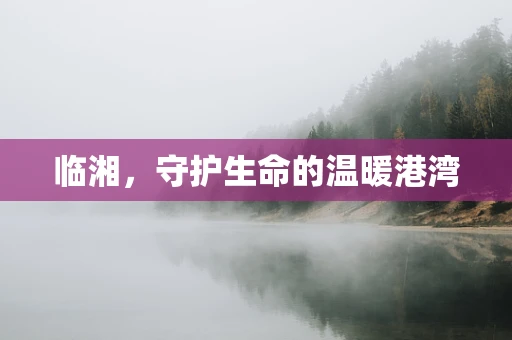 临湘，守护生命的温暖港湾