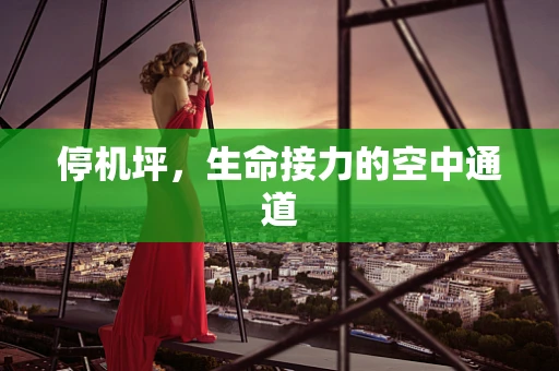 停机坪，生命接力的空中通道