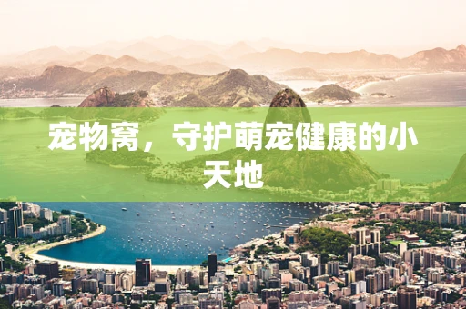 宠物窝，守护萌宠健康的小天地