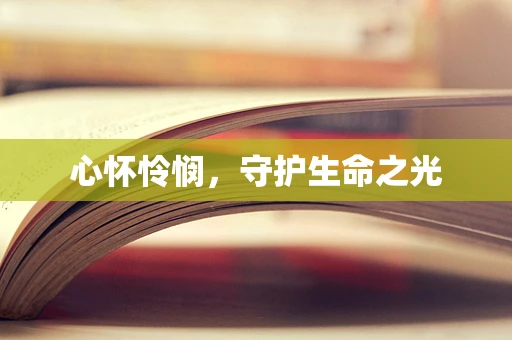 心怀怜悯，守护生命之光
