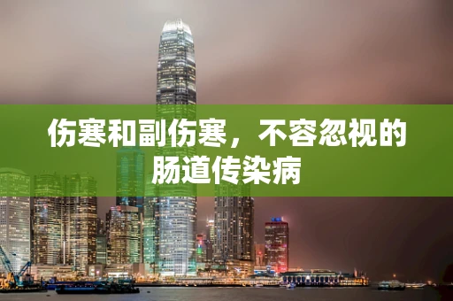 伤寒和副伤寒，不容忽视的肠道传染病