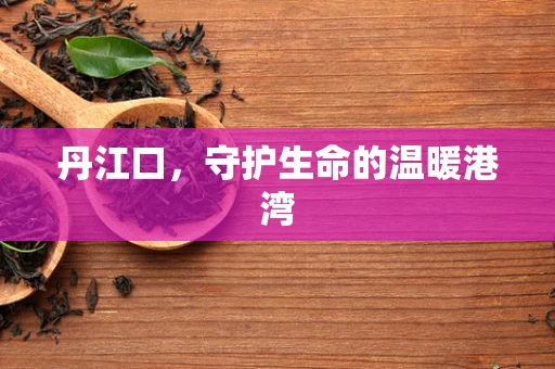 丹江口，守护生命的温暖港湾