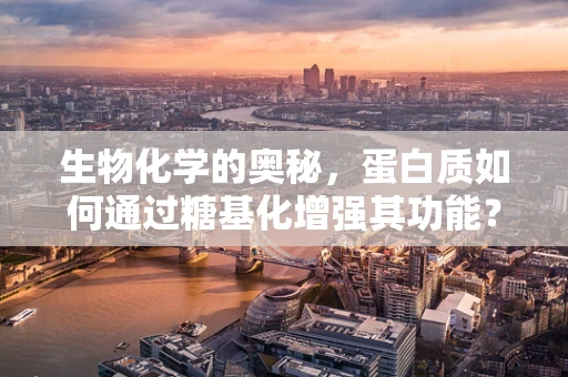 生物化学的奥秘，蛋白质如何通过糖基化增强其功能？